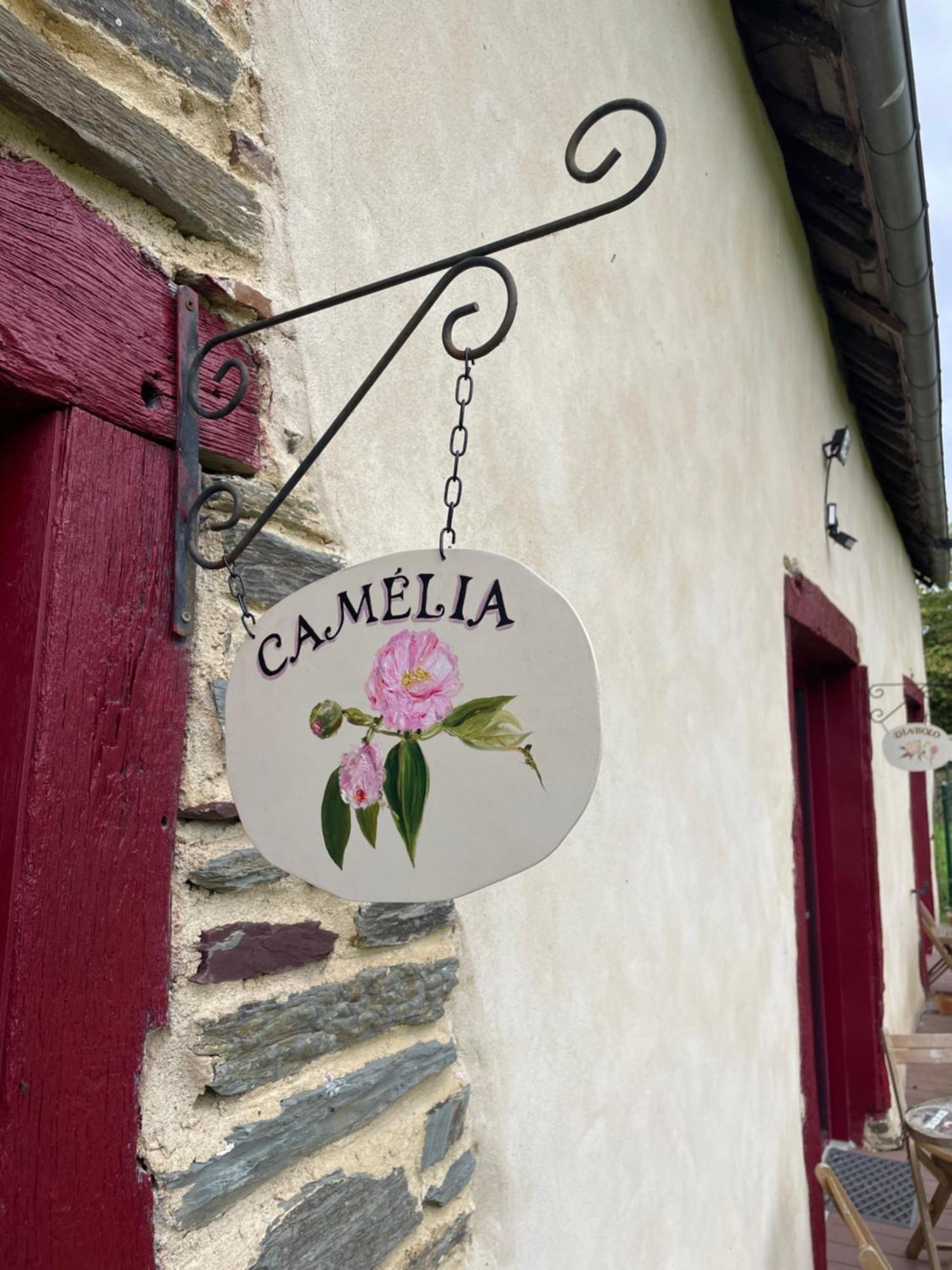 Noyal-Chatillon-sur-Seich La Malcotais B&B 외부 사진